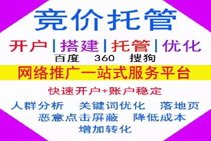XX行业竞价广告的投放策略与效果分析